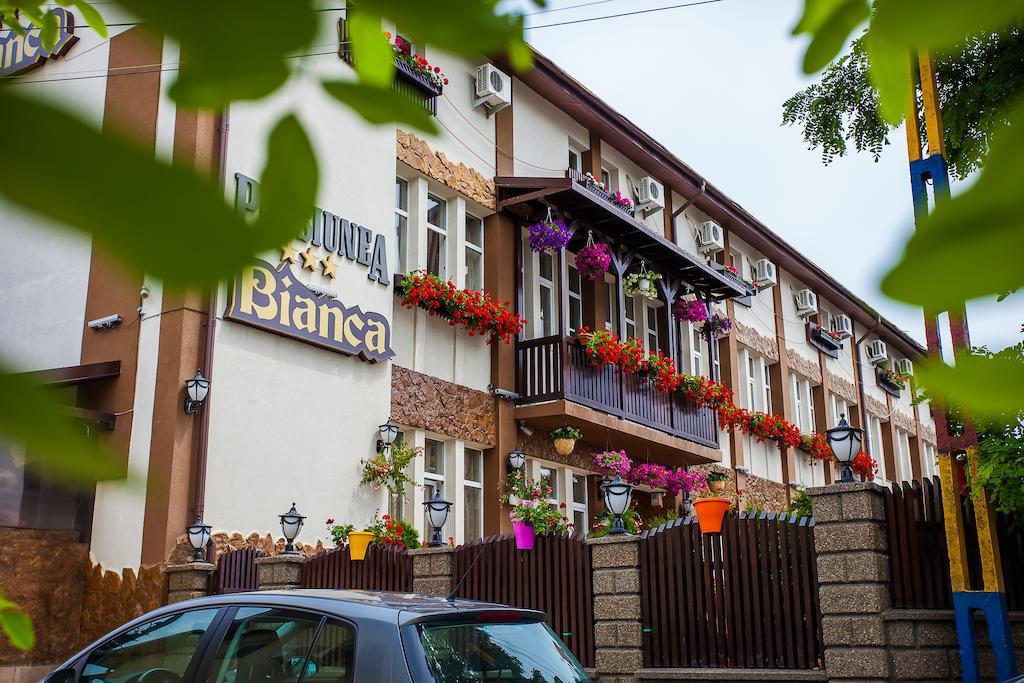 Guest house Pensiunea Bianca Botosani